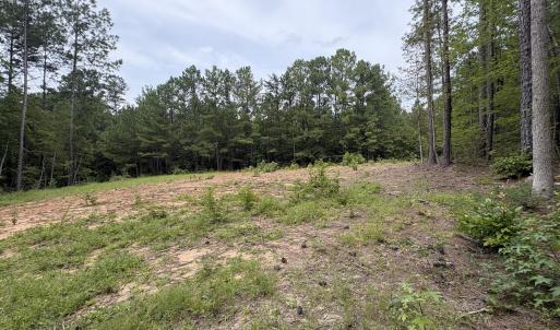 Photo #14 of 206 Rev Lewis, Henderson, NC 1.4 acres