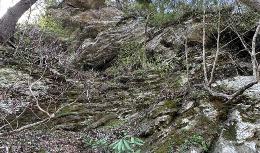 Photo #4 of Seven Island, Danbury, NC 25.1 acres