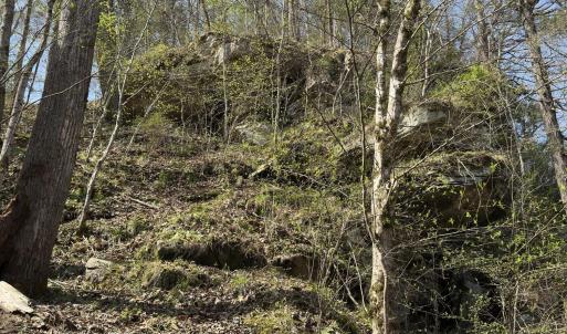 Photo #2 of Seven Island, Danbury, NC 25.1 acres
