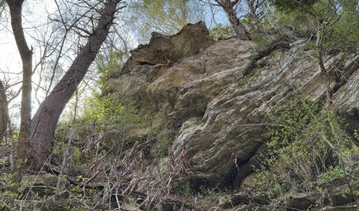Photo #3 of Seven Island, Danbury, NC 25.1 acres