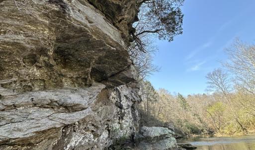 Photo #6 of Seven Island, Danbury, NC 25.1 acres