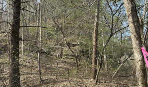 Photo #1 of Seven Island, Danbury, NC 25.1 acres