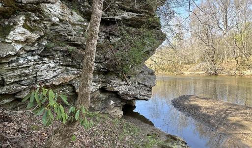 Photo #5 of Seven Island, Danbury, NC 25.1 acres