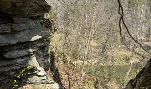 Photo #9 of Seven Island, Danbury, NC 25.1 acres