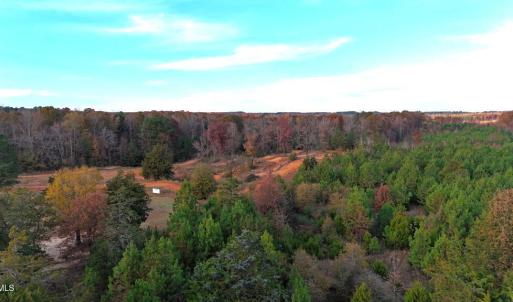 Photo #6 of Lot 1 Cheeks Quarter, Henderson, NC 40.8 acres