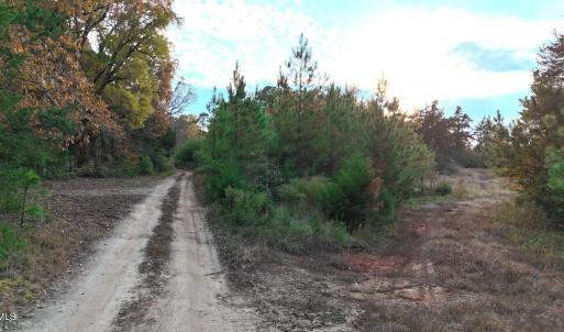 Photo #5 of Lot 1 Cheeks Quarter, Henderson, NC 40.8 acres