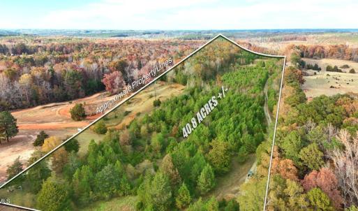 Photo #4 of Lot 1 Cheeks Quarter, Henderson, NC 40.8 acres