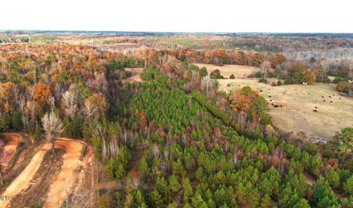 Photo #7 of Lot 1 Cheeks Quarter, Henderson, NC 40.8 acres