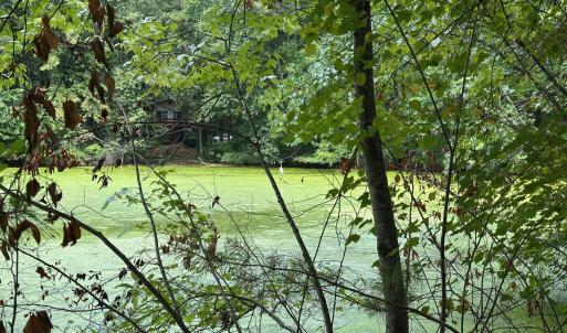 Photo #7 of Lakeside, Raleigh, NC 4.0 acres