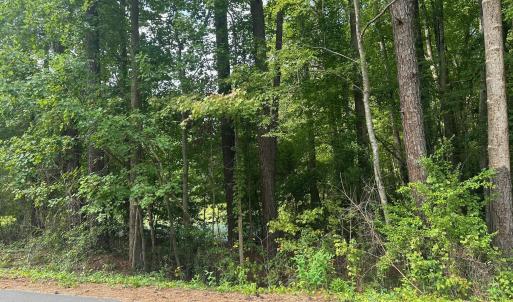 Photo #2 of Lakeside, Raleigh, NC 4.0 acres