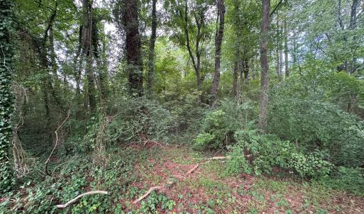 Photo #12 of Lakeside, Raleigh, NC 4.0 acres