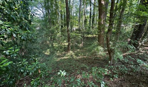 Photo #22 of Lakeside, Raleigh, NC 4.0 acres