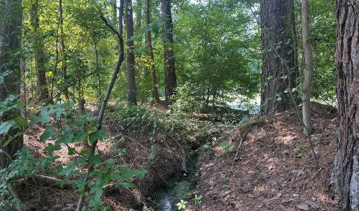 Photo #19 of Lakeside, Raleigh, NC 4.0 acres
