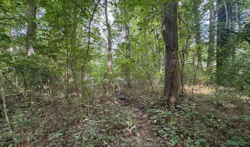 Photo #15 of Lakeside, Raleigh, NC 4.0 acres