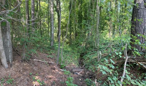 Photo #18 of Lakeside, Raleigh, NC 4.0 acres