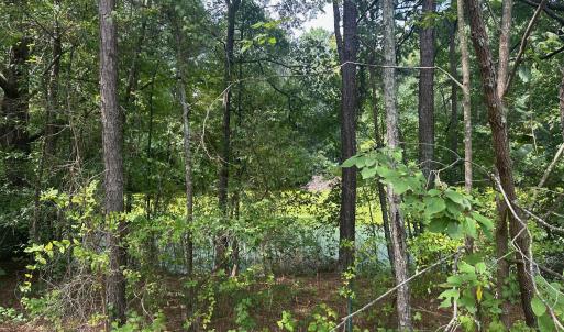 Photo #3 of Lakeside, Raleigh, NC 4.0 acres