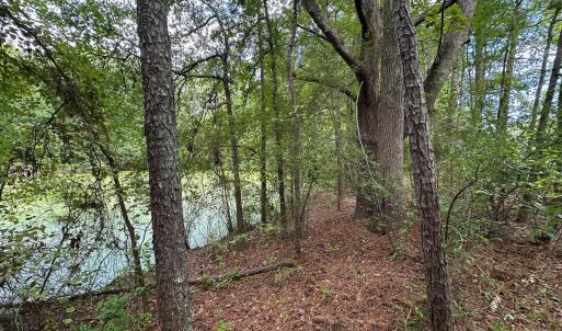 Photo #6 of Lakeside, Raleigh, NC 4.0 acres