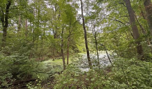 Photo #13 of Lakeside, Raleigh, NC 4.0 acres