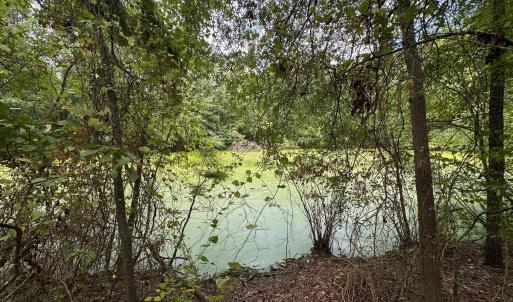 Photo #5 of Lakeside, Raleigh, NC 4.0 acres