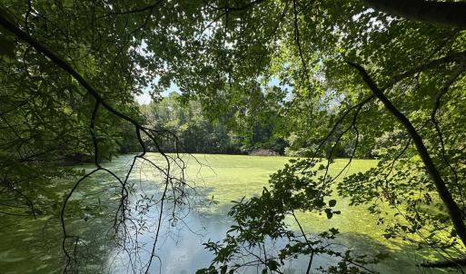 Photo #20 of Lakeside, Raleigh, NC 4.0 acres