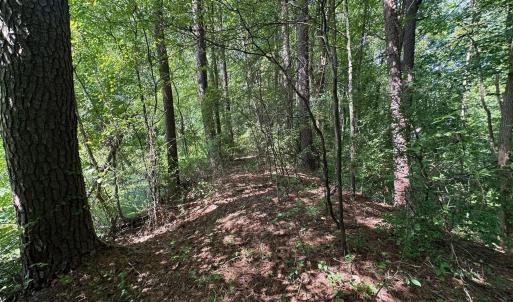 Photo #21 of Lakeside, Raleigh, NC 4.0 acres