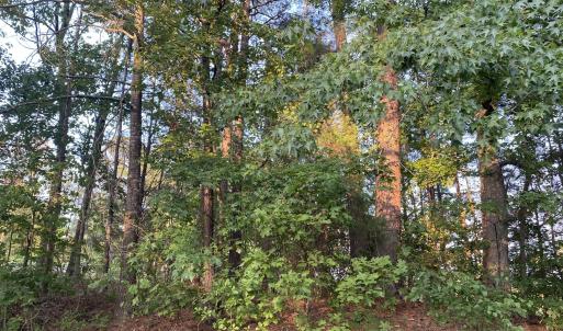 Photo #1 of 2417 Holiday, Raleigh, NC 0.3 acres