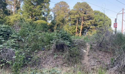 Photo #2 of 2417 Holiday, Raleigh, NC 0.3 acres