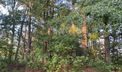 Photo #1 of 2413 Holiday, Raleigh, NC 0.2 acres