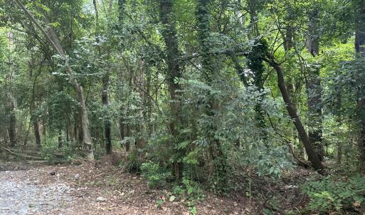 Photo #1 of Cedar, Garner, NC 0.5 acres