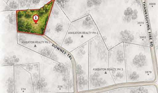 Photo #1 of 50 Downes, Selma, NC 3.9 acres