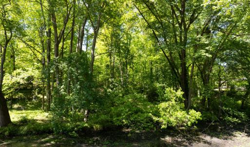 Photo #12 of 2130 Timberlake, Raleigh, NC 0.6 acres