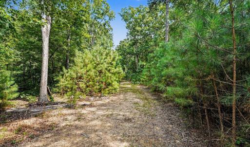 Photo #7 of Tbd Reno Sharps Store, Bear Creek, NC 5.0 acres