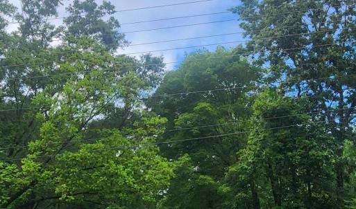 Photo #2 of 8220 Bells Lake, Apex, NC 0.7 acres