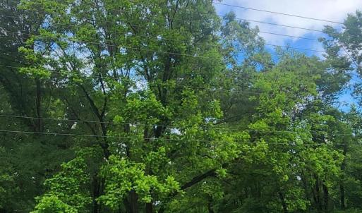 Photo #1 of 8220 Bells Lake, Apex, NC 0.7 acres