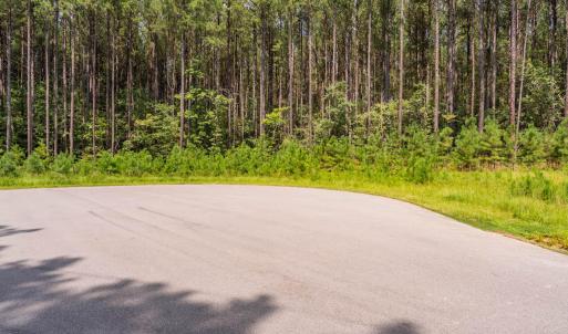 Photo #5 of 586 Anneliis, Siler City, NC 4.6 acres
