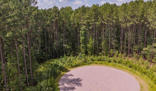 Photo #9 of 586 Anneliis, Siler City, NC 4.6 acres