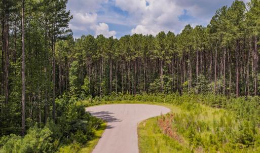 Photo #7 of 586 Anneliis, Siler City, NC 4.6 acres