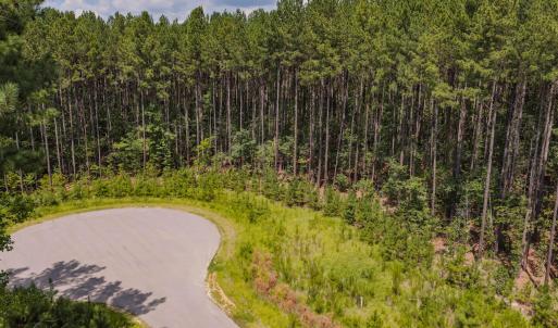 Photo #10 of 586 Anneliis, Siler City, NC 4.6 acres