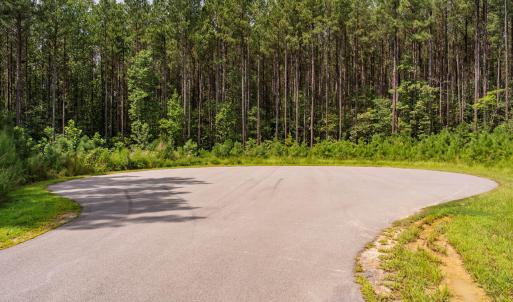 Photo #4 of 586 Anneliis, Siler City, NC 4.6 acres