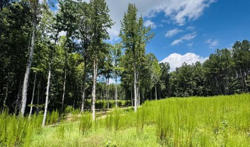 Photo #10 of 185 Larkington, Siler City, NC 5.9 acres