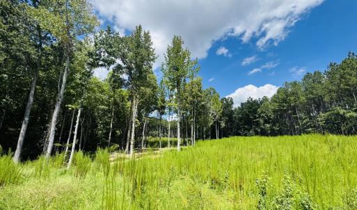 Photo #1 of 185 Larkington, Siler City, NC 5.9 acres