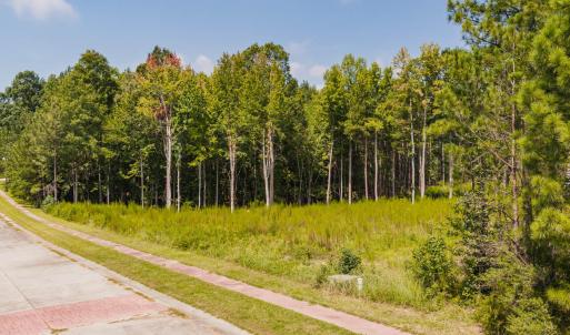Photo #8 of 185 Larkington, Siler City, NC 5.9 acres