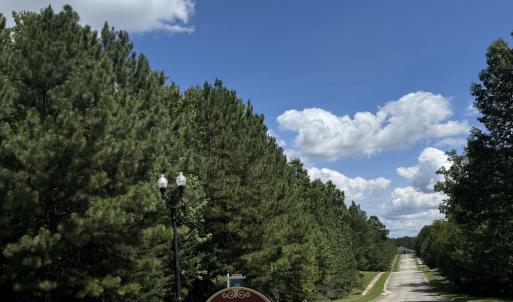 Photo #11 of 185 Larkington, Siler City, NC 5.9 acres