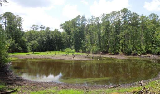 Photo #12 of 2200 Darroch, Lillington, NC 44.1 acres