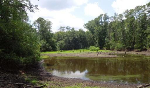 Photo #13 of 2200 Darroch, Lillington, NC 44.1 acres