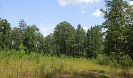 Photo #1 of 2200 Darroch, Lillington, NC 44.1 acres