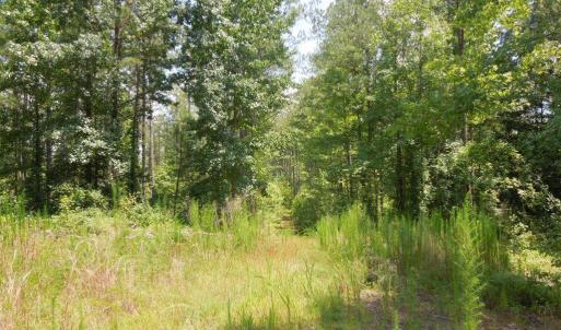 Photo #4 of 2200 Darroch, Lillington, NC 44.1 acres
