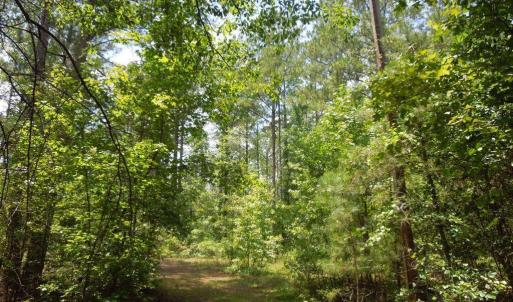 Photo #14 of 2200 Darroch, Lillington, NC 44.1 acres