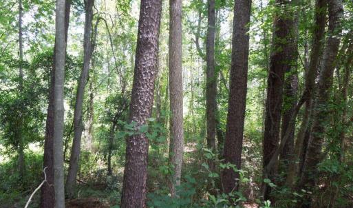 Photo #9 of 2200 Darroch, Lillington, NC 44.1 acres