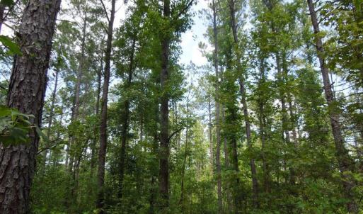 Photo #7 of 2200 Darroch, Lillington, NC 44.1 acres